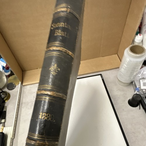 Sonntags blatt jahrgang 1880 - jahrgang,