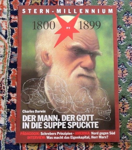 Stern millennium charles - millennium,